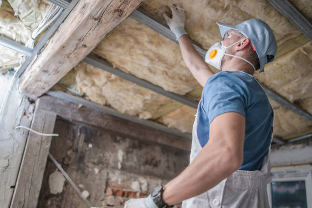 Best Insulation Maintenance and Repair in Broadview Heights, OH